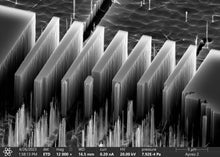 Charger l'image dans la galerie, GMAD15