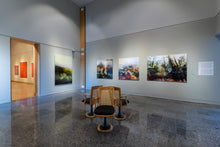 Charger l'image dans la galerie, LA FORÊT PENSIVE