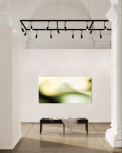 Charger l'image dans la galerie, N-ACÉTYLSÉROTONINE