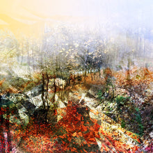 Charger l'image dans la galerie, LA PLUIE IMPLAUSIBLE
