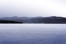 Charger l'image dans la galerie, IDÉAUX RESAISIS
