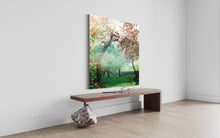 Charger l'image dans la galerie, DUALE — MALUS
