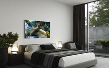 Charger l'image dans la galerie, A TORTOISE?
