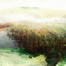 Charger l'image dans la galerie, LE MARAIS RÉSILIENT
